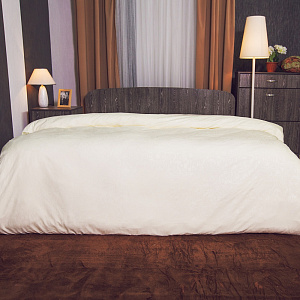 Пододеяльник DE'NASTIA 145х210см ваниль 100%Микрофибра C010314 000000000001109600