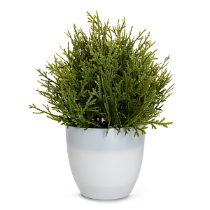 Цветок искусственный растение Туя 22см в горшке 000000000001218469