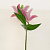 Цветок искусственный "Лилия" 60см R010744 000000000001196657