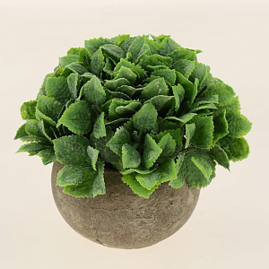 Цветок искусственный "Самшит" 10см R010787 000000000001197551