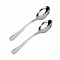 Набор чайных ложек 2 предмета JAGDAMBA Flowrish нержавеющая сталь