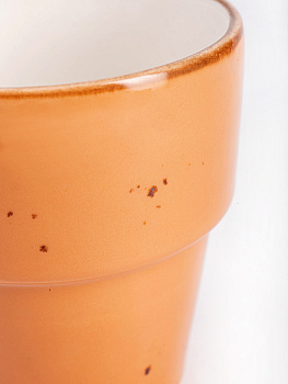 Стакан 280мл TULU PORSELEN Active Coral фарфор 000000000001212360