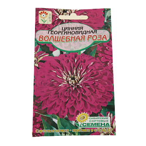 Семена Цинния Волшебная роза 0,3гр (ссс)ЛИДЕР ПРОДАЖ ! СС010298 пакет 000000000001194715