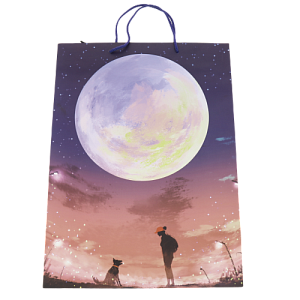 Подарочный бумажный пакет Премиум+, 45x33x10 см 000000000001036477