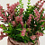 Цветок искусственный "Прованские травы"  14смR010453 000000000001189318