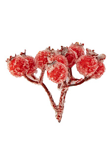 Ветка с ягодами для декора 9см шиповник в инее красный 000000000001228772