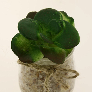 Цветок искусственный "Суккулент"  9-17смR010456 000000000001189320