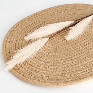 Цветок искусственный Пампасная трава кисточки 80см бежевая 000000000001221577