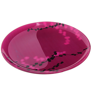 Плоская тарелка Kashima Fushia Luminarc 000000000001005507