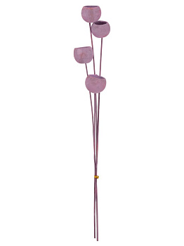 Сухоцветы 16x8x70см DE'NASTIA Колокольчик микс цветов 000000000001228192