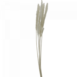 Цветок искусственный "Трава" сухоцвет белый 5шт 80см R011050 000000000001199240