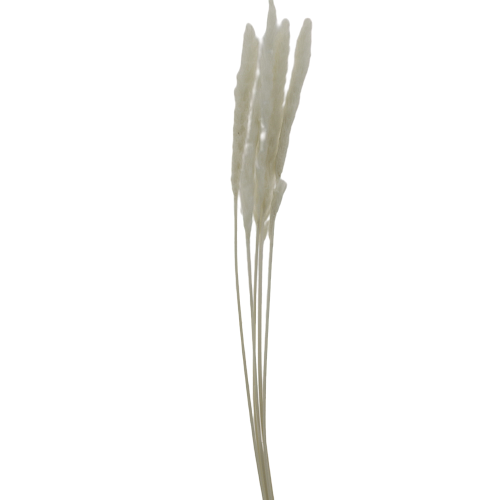Цветок искусственный "Трава" сухоцвет белый 5шт 80см R011050 000000000001199240