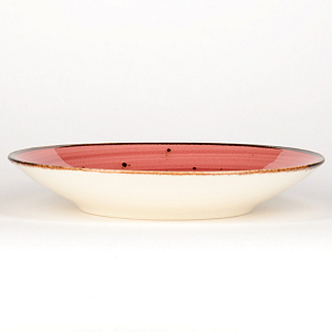 Набор столовой посуды 24 предмета TULU PORSELEN Deniz BORDO фарфор 000000000001210097