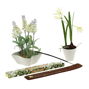 Ароматические палочки Лилия Индокитай-Сибирь 000000000001076505