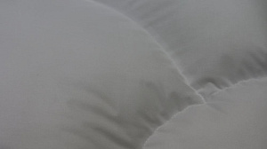 Подушка45х65смFAMILYTEX с вертикальной перегородкой полукруглым валиком.Высота15см.Наполнитель полиэфирное волокно.Наперник ТИК 50%полиэстер 50%хлопок 000000000001206189