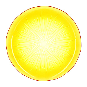 Плоская тарелка Soleil Yellow Luminarc 000000000001120554