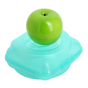 Ланч-бокс Пранзо Martika, 0.95л 000000000001111901