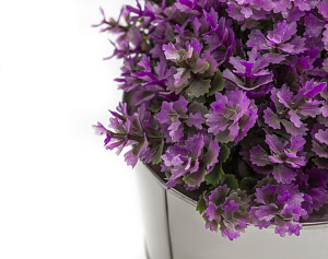 Цветок декоративно-лиственный 12см R010464 000000000001189328