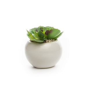 Цветок искусственный "Суккулент"  7смR010455 000000000001189319