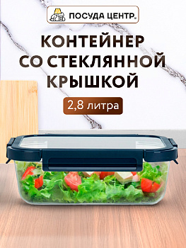 Контейнер 2,8л 28,1х21,5х9см прямоугольный синяя крышка боросиликатное стекло 000000000001220359