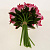 Цветок искусственный "Роза" 19 бутонов 23см R010760 000000000001196706