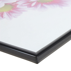 Постер Цветы Постер-Лайн, 40х50 см 000000000001092605