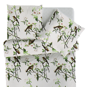 Комплект постельного белья 2-спальный TEODORA макси плотность125гр Дориан простыня 220х215см пододеяльник 175х215см две наволочки 70х70см 100%хлопок 000000000001206413