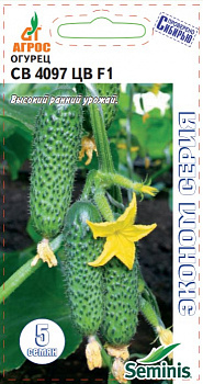 Семена Огурец 5шт СВ 4097 ЦВ F1 ЭКОНОМ 000000000001221371