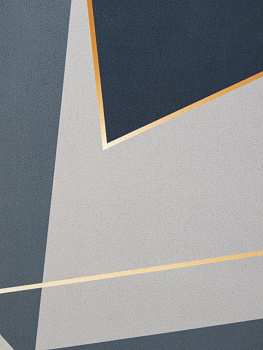 Коврик для ванной 60х40см прямоугольный с принтом в ассортименте силикон 000000000001229196