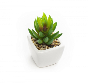 Цветок искусственный "Суккулент" 9смR010441 000000000001189306