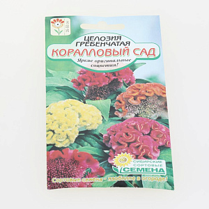Семена Целозия Коралловый сад гребенчатая 0,2г (ссс) ЛИДЕР ПРОДАЖ! СС011563 пакет 000000000001194822