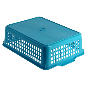 Корзинка 31х22х8,5см 4,5л ECONOVA универсальная в ассортименте пластик 000000000001097509