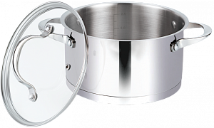 Кастрюля из нержавеющей стали  со стеклянной крышкой 2,5л PASSION Moulin Villa CSP-025 000000000001198321