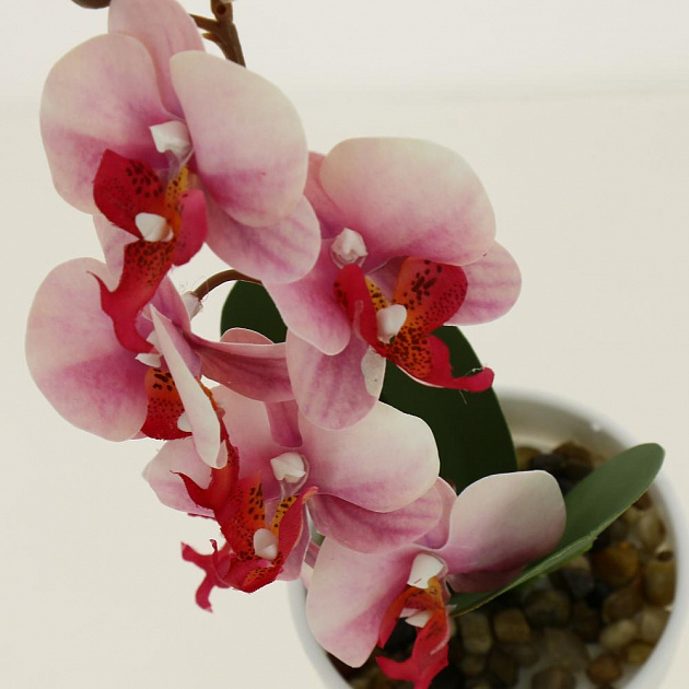 Цветок искусственный Орхидея 30см R010639 000000000001192380