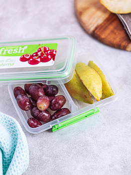 Контейнер для продуктов 350мл SISTEMA Fresh двойной прямоугольный пластик 000000000001197082
