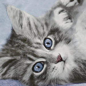 ПАКЕТ пластиковая ручка 37х35/90мкм Кот 000000000001201004