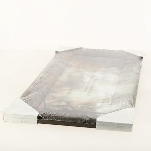 Репродукция 20х50см ДЕКАРТ д8С0003 000000000001162686