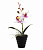 Цветок искуственный Орхидея в горшке 25см REAL TOUCH пластик 000000000001217054