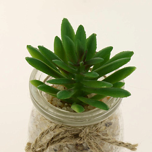 Цветок искусственный "Суккулент"  9-17смR010456 000000000001189320