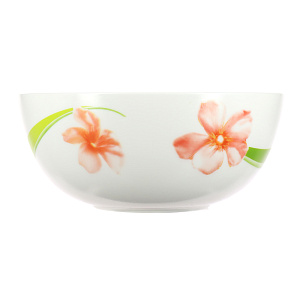 СВИТ ИМПРЕШЕН Набор столовой посуды 19 предметов E4946 000000000001061012