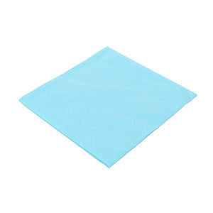 Бумажные салфетки 2-х слойные Decor Party Paclan, 24?24 см, 50 шт. 000000000001138257