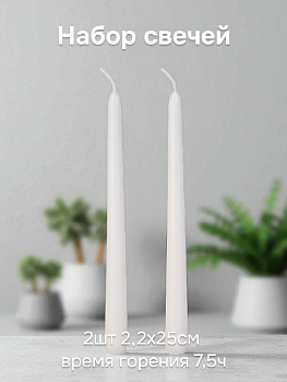 Набор свечей 2шт 2,2х25см FORA белый парафин 000000000001226063