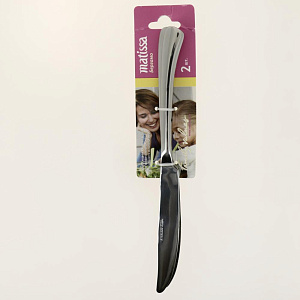 Набор столовых ножей 2 предмета MATISSA Бергамо нержавеющая сталь 000000000001186347