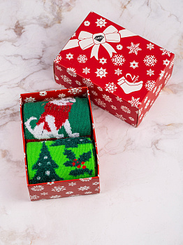 Носки женские подарочные 2 пары р.36-39 LUCKY зеленый/синий/красный 000000000001181522