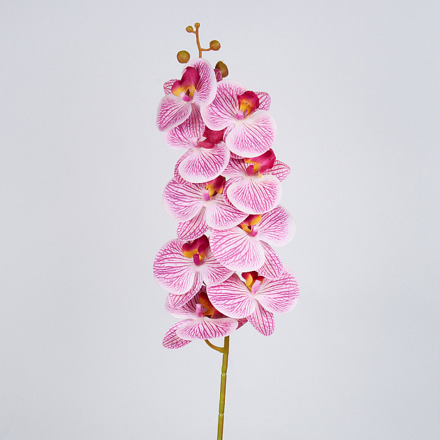 Цветок искусственный 68см ветка Орхидея пластик 000000000001209149