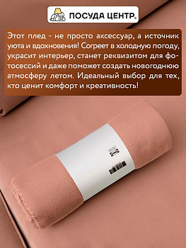 Плед 160х120см FORA плотность 130гр/м персиковый полиэстер CN0869/LY2603 000000000001213003