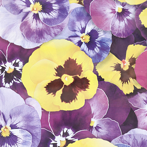 Пакет 28х34см Красивые цветы 60мкм ручка петля полиэтилен 000000000001212944