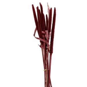 Цветок искусственный "Камыш" сухоцвет 10шт 70см  R011097 000000000001199261