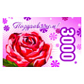 Подарочная карта Поздравляем, 3000  рублей Подарочная карта Поздравляем, 3000  рублей 000000000007000174