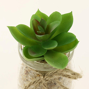 Цветок искусственный "Суккулент"  9-17смR010456 000000000001189320